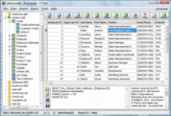 Database Viewer-Editor