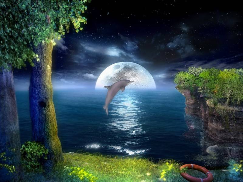 Download 3D Jumping Dolphins Screensaver