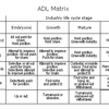 ADL Matrix (MBA)