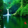 Green Waterfalls