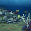 VombaSavers Underwater Reefs