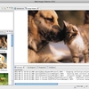 Web Image Collector 2013 For Mac