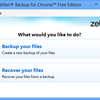 zebNet Backup for Chrome Free Edition