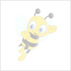 OpenGate Database Manager for Access