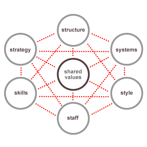 7 S Framework Software