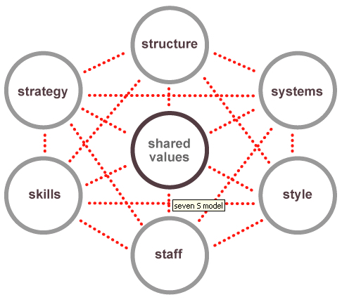7S-MODEL-FRAMEWORK-SOFTWARE