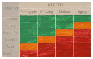 ADL Matrix Life Cycle Portfolio Software