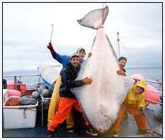 Alaska Fishing Screensaver