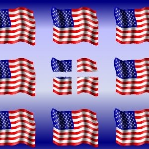 American Flags