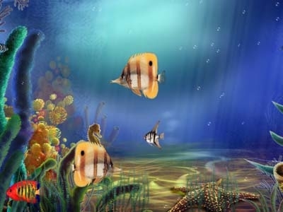 Animated Aquarium Wallpaper