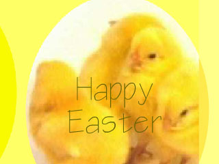 Animated Easter Chickens Wallpaper