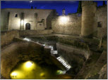 aperitivos&appetizers&ham&jamon-EJ1515