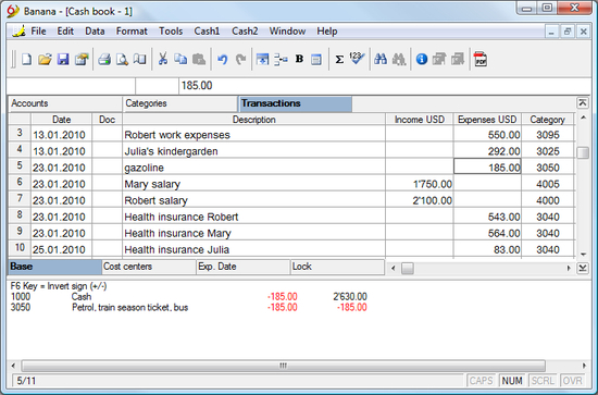 Banana Cashbook