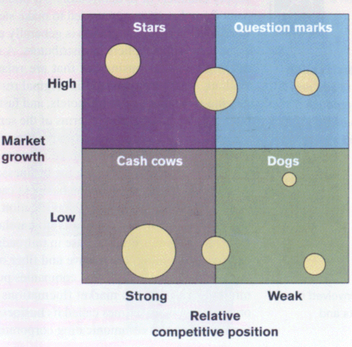 BCG Business Unit Strategy (MEGA)