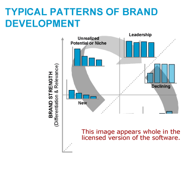 Brand Development Software