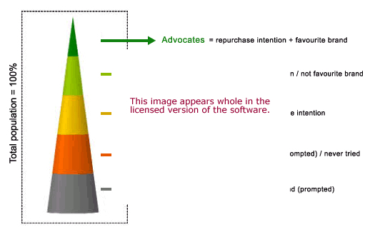 Brand Performance Software