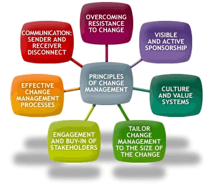 Change Management Team Software