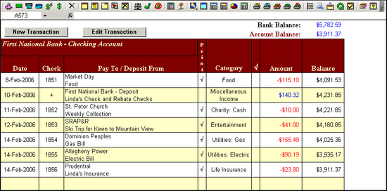 Checkbook for Excel