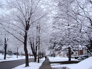 Chilling Cold Screensaver