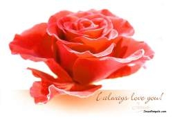 Christian Friends Screensaver