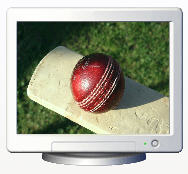 Cricket Screen Saver