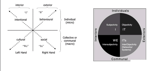 Cultural Intelligence Software
