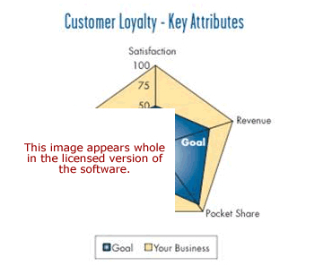 Customer Loyalty Software