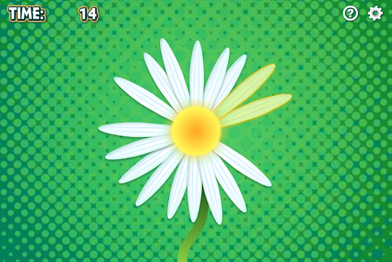 Daisy Petals