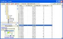 DBF Viewer