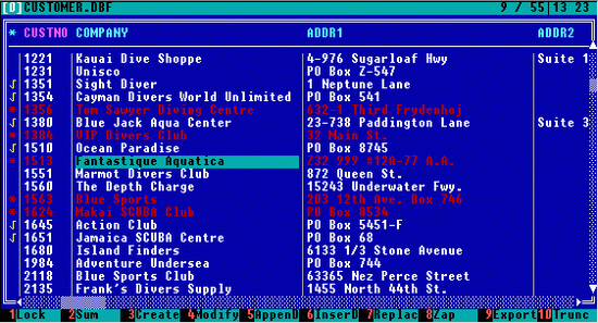 DBF Viewer and Editor, DOS version