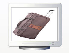 Designer Luggage