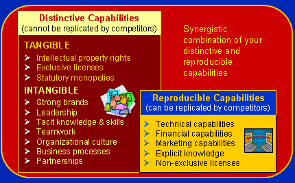 Distinctive Capabilities (MEGA)