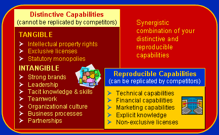Distinctive Capabilities Software