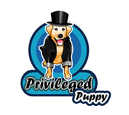 dog grooming supplies