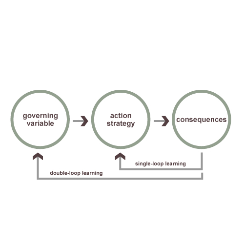 Double Loop Learning Software (Advanced)
