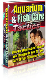 Download eBook Fish and Aquarium Care