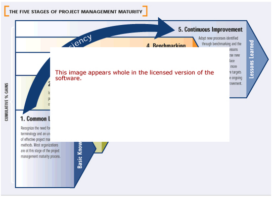 Efficient Project Management Software