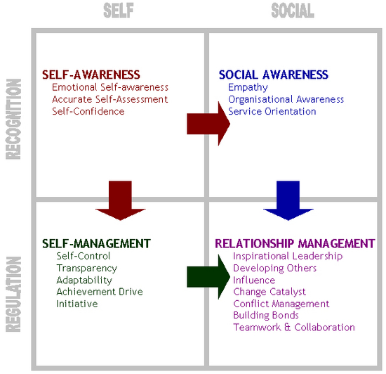 Emotional Intelligence (MEGA)