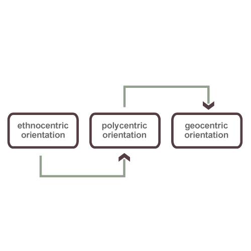 EP RG Software (Advanced)
