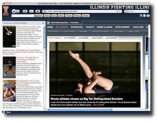 Fighting Illini IE Browser Theme