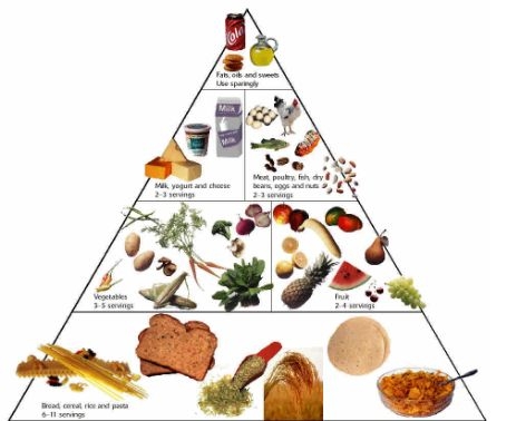 Food Pyramid Animated Diete Screen Saver