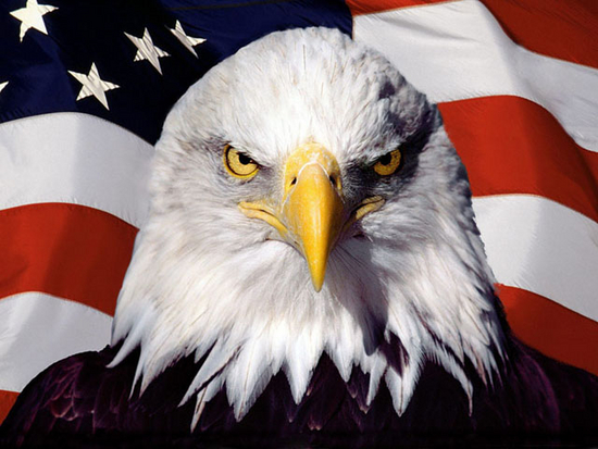 Free American Screensaver