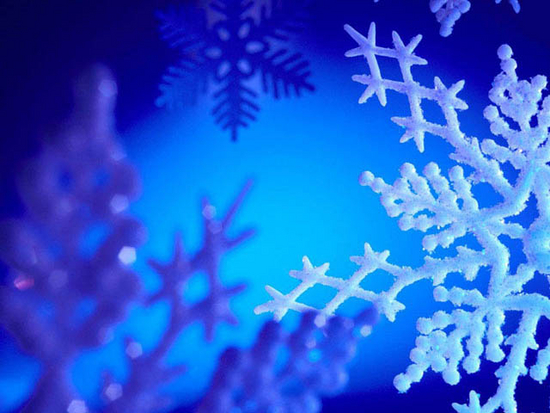 Free Christmas Light Screensaver