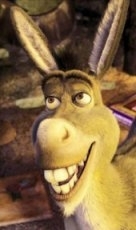 Free Shrek Forever After Screensaver