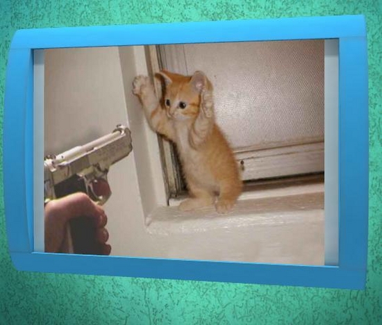 Funny Pictures