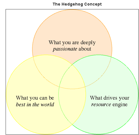 Hedgehog Concept Software