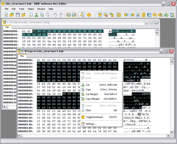 Hex Editor