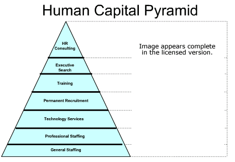 Human Capital Pyramid Software