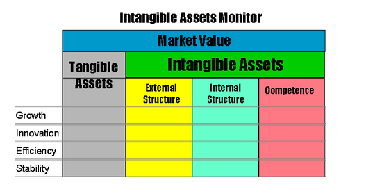 Intangible Assets Software