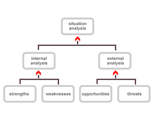 Internal SWOT Software